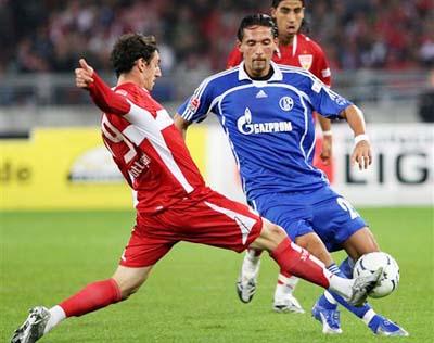 社会提供了 社会提供了